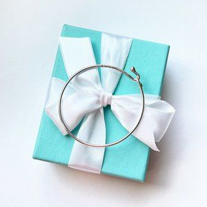 Tiffany & Co. Silver Wire Hook Bangle Charm Bracelet Beautiful!